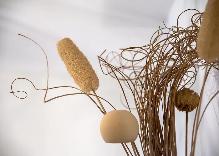 Ca'serenissima - At 2mn Of St Square