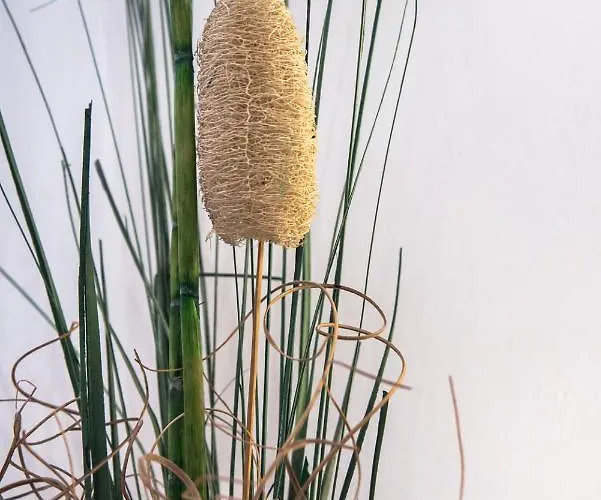 Ca'serenissima - At 2mn Of St Square Venetië